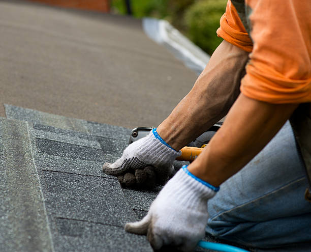 Roof Gutter Cleaning in Commercial Point, OH
